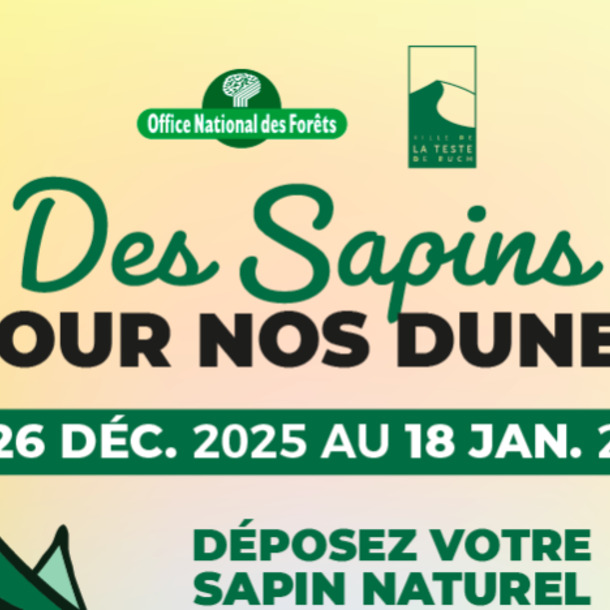 Des sapins pour nos dunes !